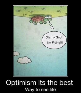 Optimism - Turtle